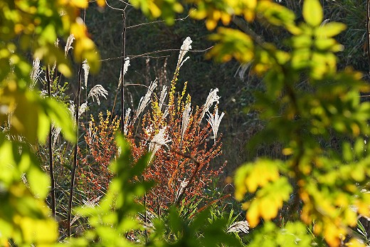 e0190885_20255079.jpg