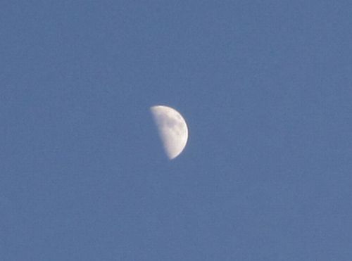 e0143690_830411.jpg