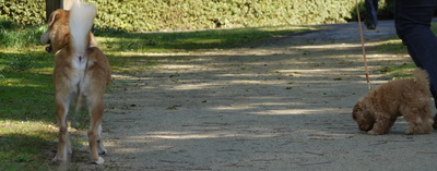 a0133493_14333351.jpg