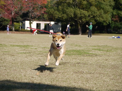 a0133493_14354731.jpg