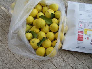 f0130894_22393813.jpg