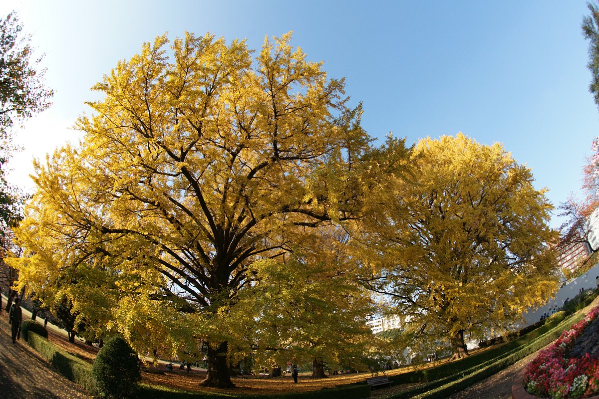 c0124795_23717.jpg