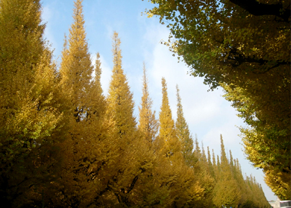 d0129295_1610331.jpg