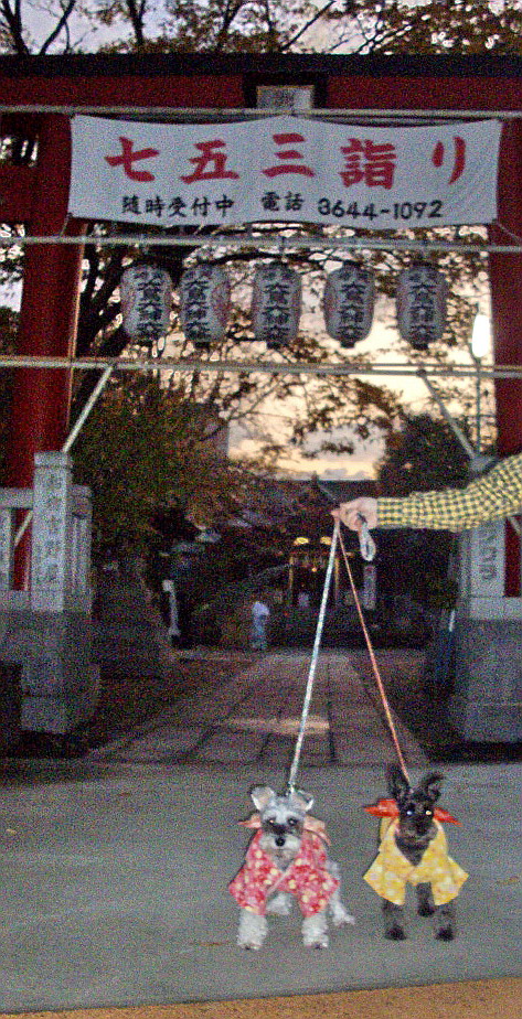 c0138198_17404978.jpg