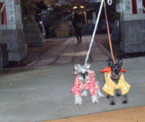 c0138198_17424147.jpg