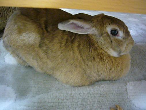 c0199098_1224097.jpg