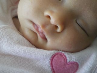 a0023500_1125845.jpg