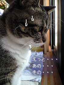 c0035001_1453262.jpg