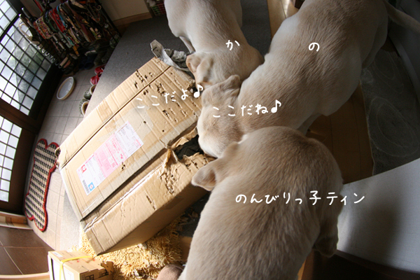 c0089005_22473495.jpg