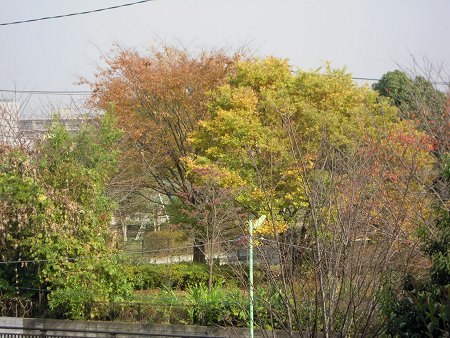 d0143214_23155131.jpg