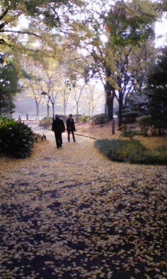e0009714_8355014.jpg