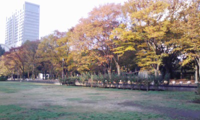 e0009714_8355023.jpg