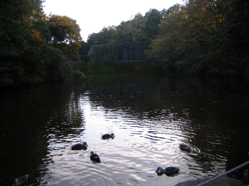 c0219815_21473858.jpg