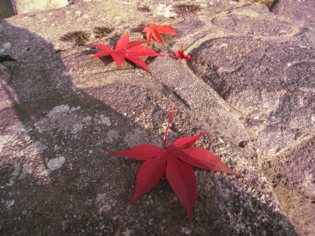 c0197220_1611549.jpg