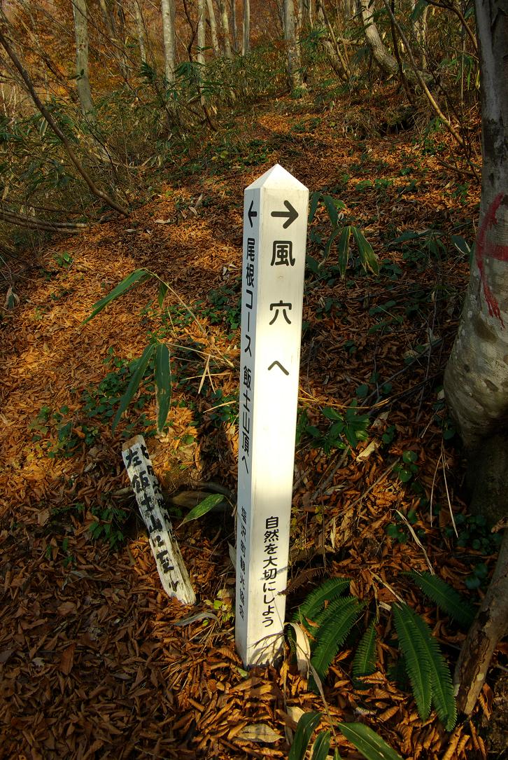 b0062024_10455295.jpg