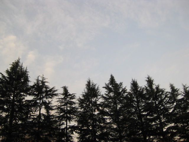 a0127828_2353534.jpg
