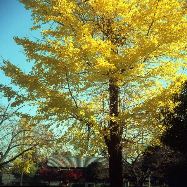 f0072829_02901.jpg