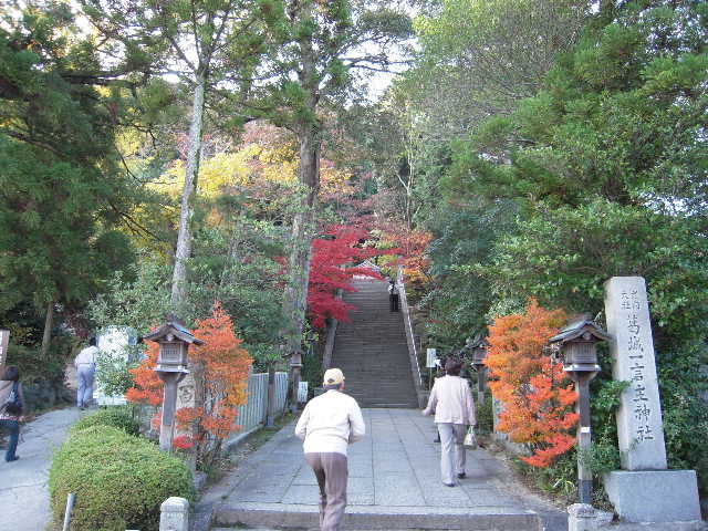 b0025633_222351.jpg
