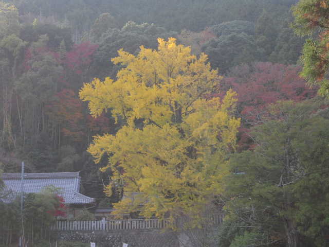 b0025633_2275816.jpg