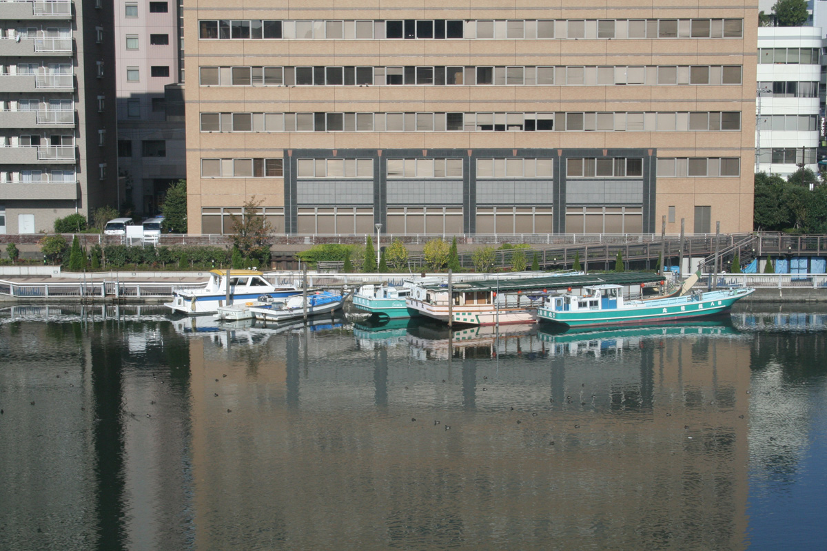 c0073633_15314646.jpg