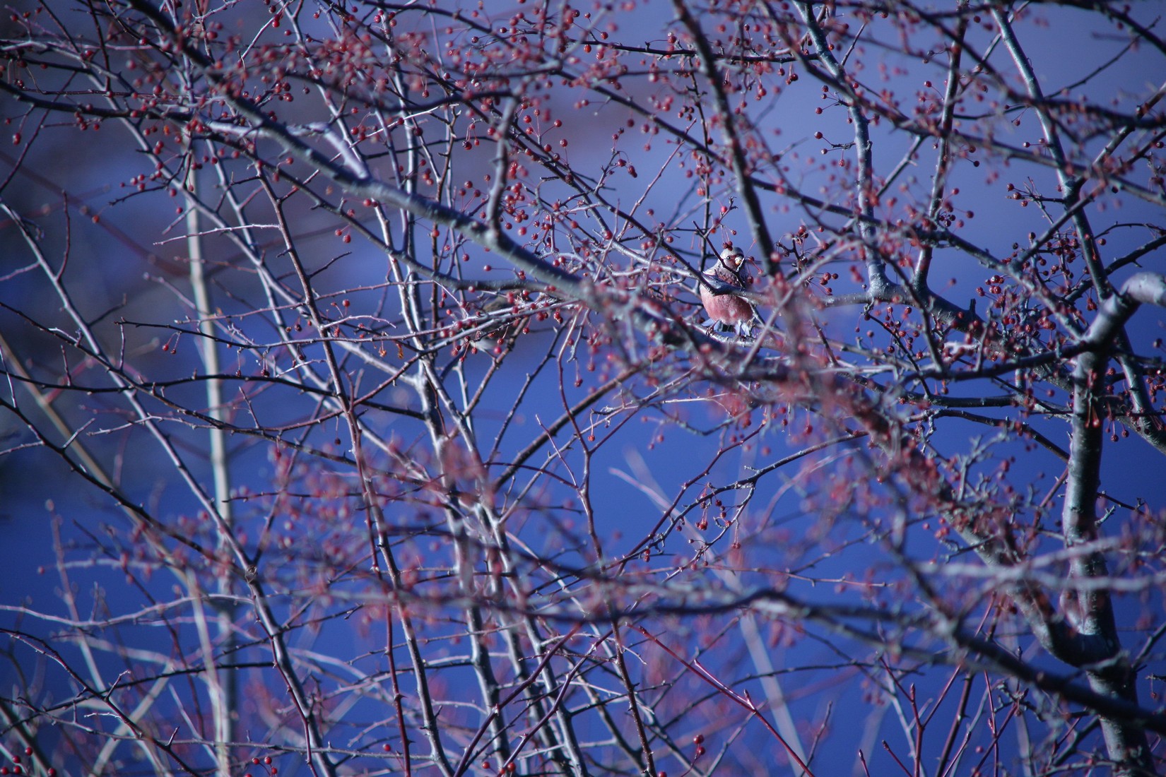 e0154134_00471.jpg