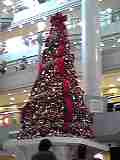 c0073536_1458317.jpg