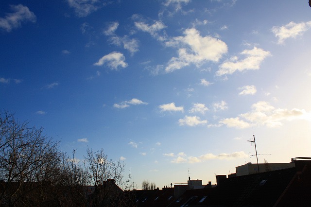 c0153740_4281456.jpg