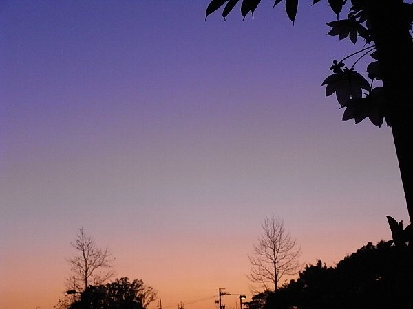 b0165444_029103.jpg