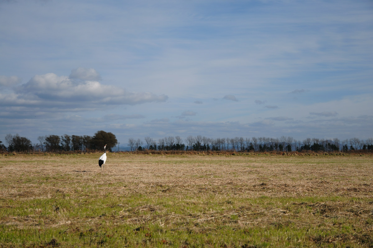 a0039245_12097.jpg