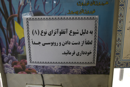 b0006449_1158955.jpg
