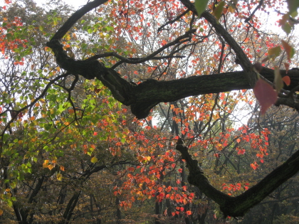 c0145449_22172154.jpg