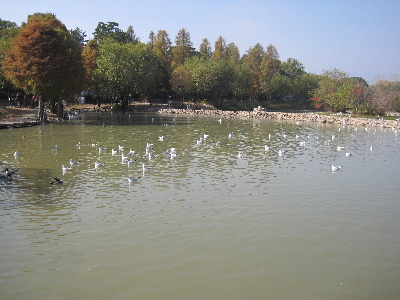 e0126054_10372988.jpg