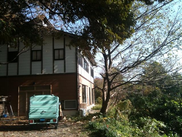 f0201157_29476.jpg