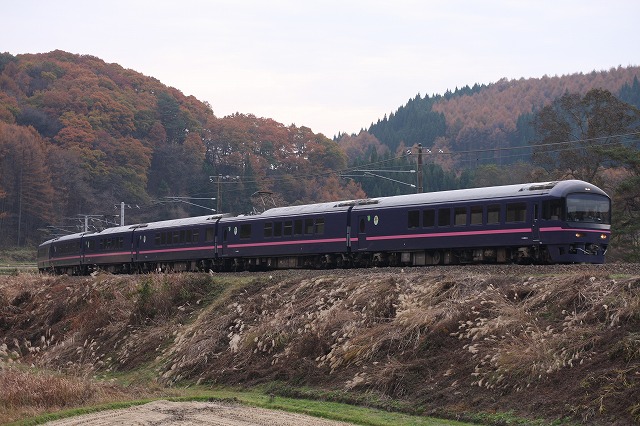 b0002858_0445849.jpg