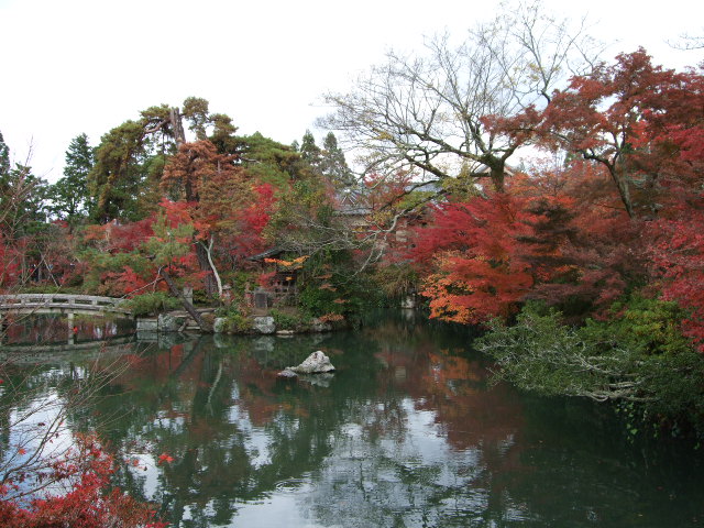 f0203260_20191441.jpg