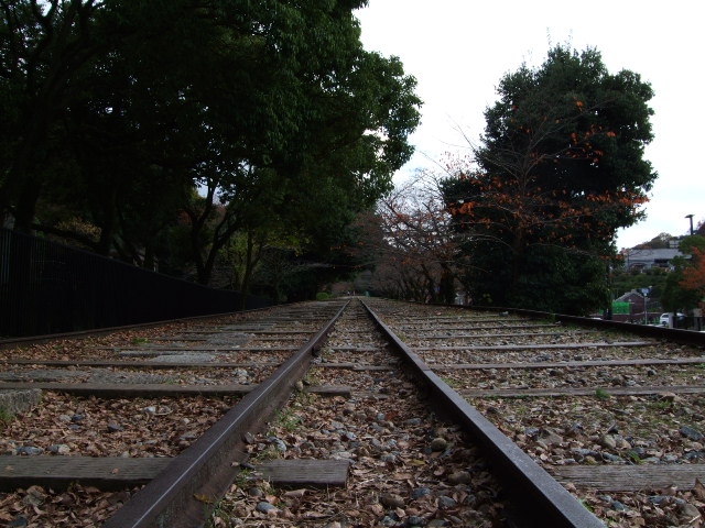 f0203260_2020405.jpg