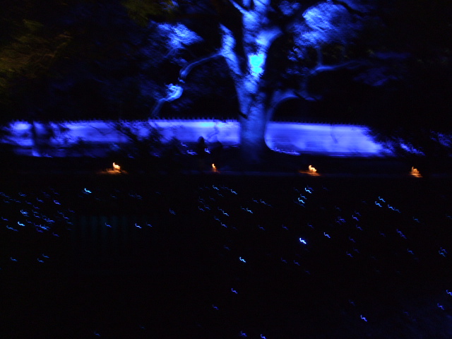 f0203260_20212880.jpg