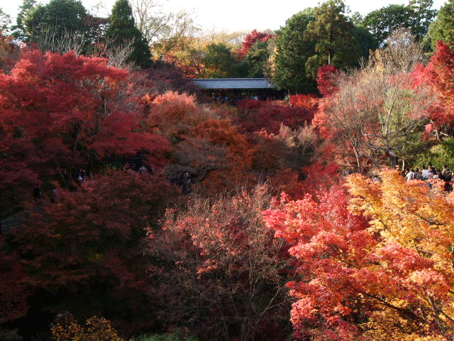 f0203260_2021793.jpg