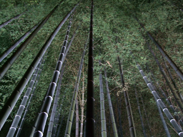 f0203260_20221690.jpg