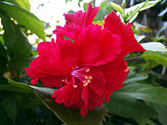 b0101263_17174315.jpg