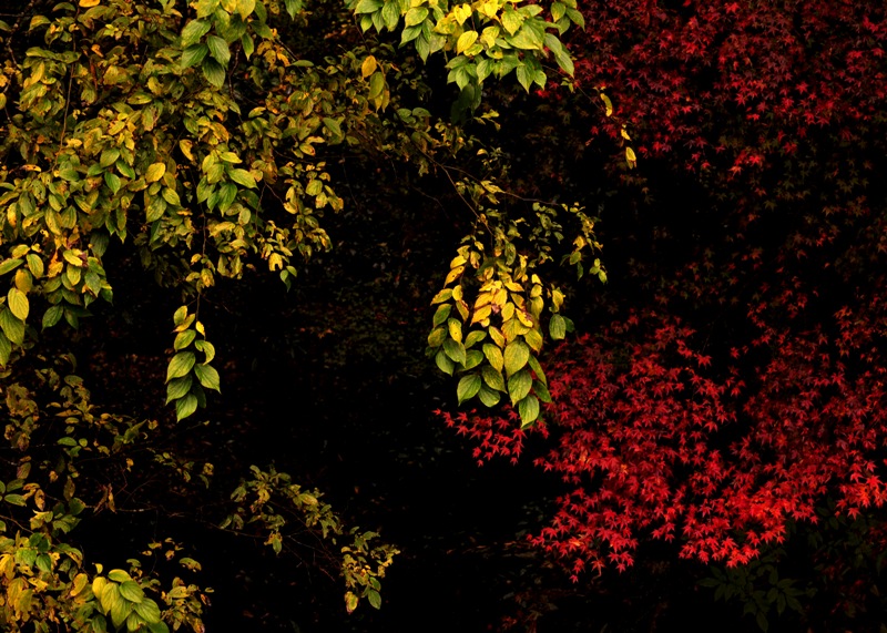b0131167_1030588.jpg
