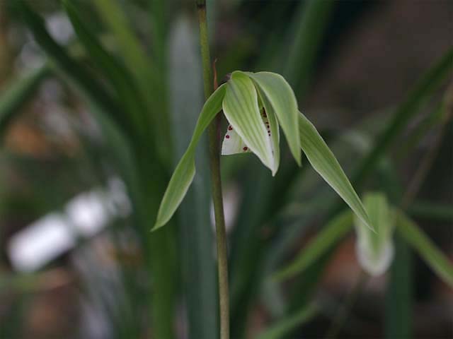 c0068168_1354352.jpg