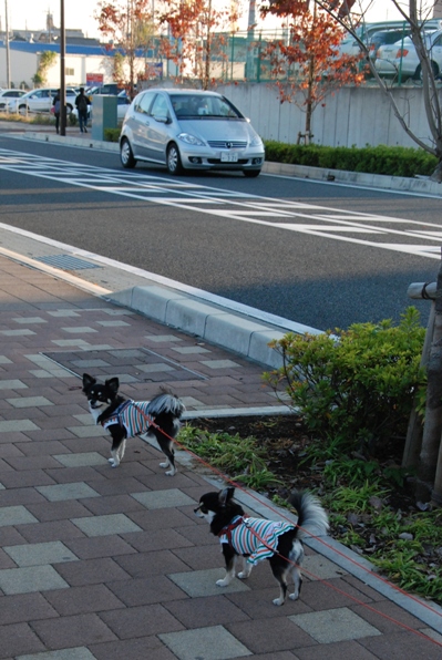 f0065768_18472919.jpg