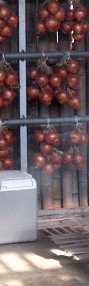 b0169869_620946.jpg