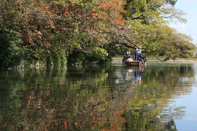 f0088569_9353039.jpg