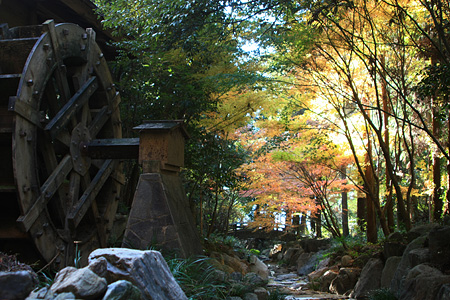 c0104371_1016214.jpg