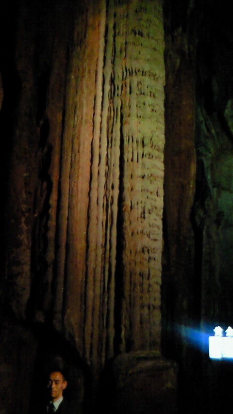 d0012873_2015961.jpg