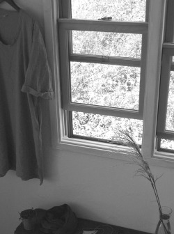f0141475_16291980.jpg