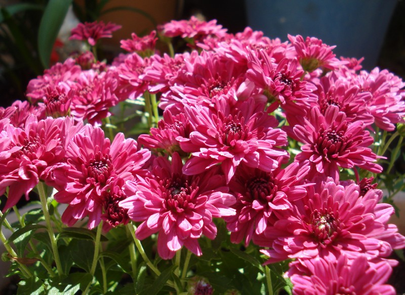f0165677_21284241.jpg