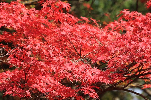 b0003280_1411970.jpg